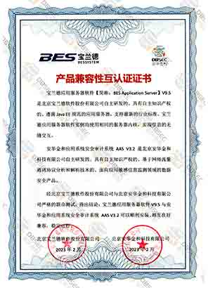 ϵyȫӋϵy AAS V3.2_Ӧ÷V9.5-ƷԻ֤֤֤