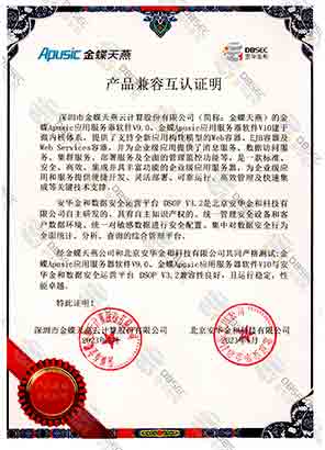 ݰȫӪƽ̨ DSOP V3.2_ApusicӦ÷V10-Ʒݻ֤