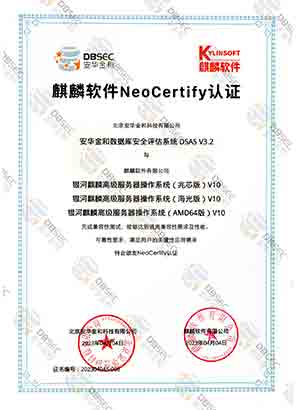찲ȫuϵy DSAS V3.2_߼ϵͳо&amp;amp;AMD64&amp;amp;棩V10-NeoCertify֤