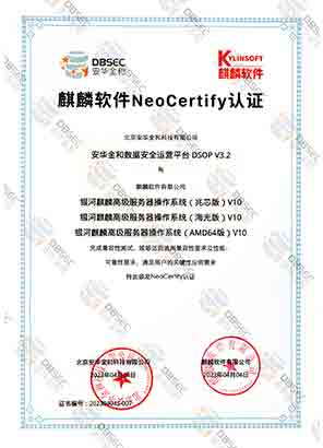 ݰȫӪƽ̨ DSOP V3.2_߼ϵͳо&amp;amp;amp;amp;AMD64&amp;amp;amp;amp;棩V10-NeoCertify֤
