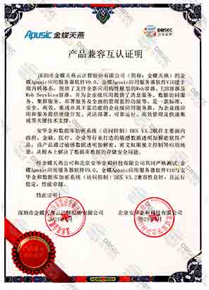 ϵyʿƣ DES V3.2_ApusicӦ÷V9.0-Ʒݻ֤