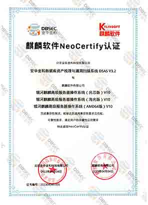 ݿʲ©ɨϵͳ DSAS V3.2_߼ϵͳо&AMD64&棩V10-NeoCertify֤