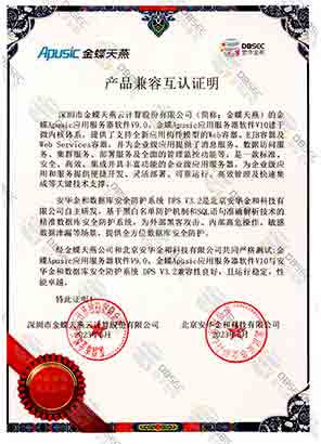 찲ȫoϵy DPS V3.2_ApusicӦ÷V9.0-Ʒݻ֤